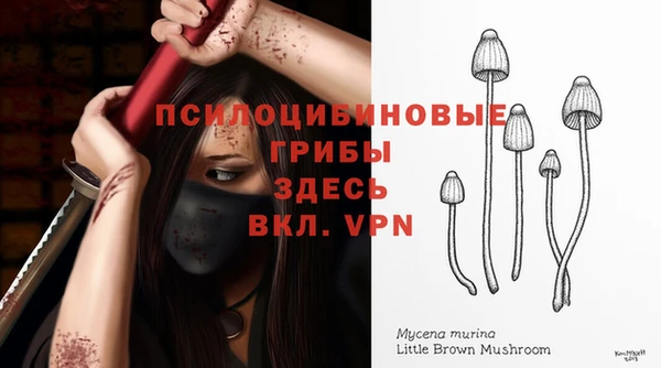 мдпв Нязепетровск