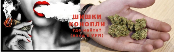 PSILOCYBIN Новодвинск