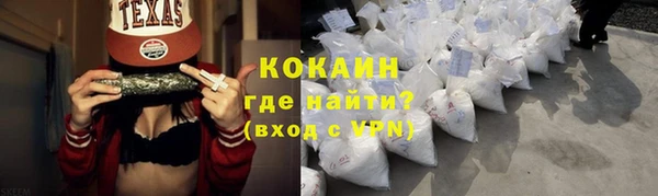 твердый Новозыбков