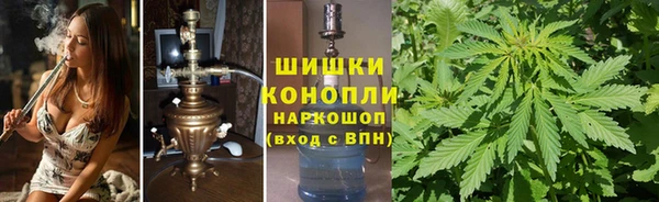 твердый Новозыбков