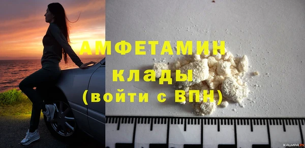 твердый Новозыбков