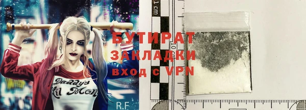твердый Новозыбков