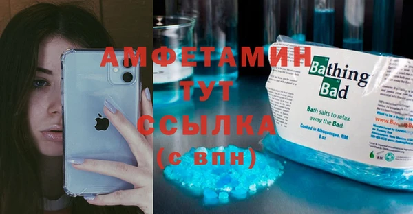 твердый Новозыбков