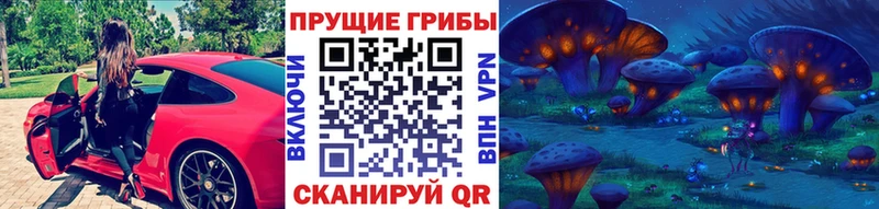 Галлюциногенные грибы Magic Shrooms  продажа наркотиков  Бологое 